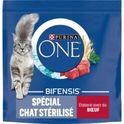 PURINA ONE Cat Sterilized Beef, Wheat 6 Kg