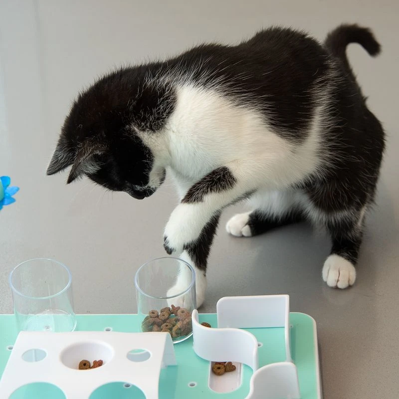 Slo-Mo Cat Toy 1 Toy Slo-Mo Cat Toy 1 Toy -Zooplus Store 110a75 1 8