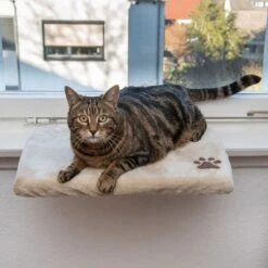 Pluschi Windowsill Seat 50 X 35 X 5cm (L X W X H) -Zooplus Store 129296 mit katze fg 5738 7