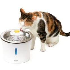Catit Flower Drinking Fountain Stainless Steel Drinking Fountain (3 Litres) 2 Catit Flower Drinking Fountain Stainless Steel Drinking Fountain (3 Litres) -Zooplus Store 135197 hagencontainer catit blumentrinkbrunnen edelstahl trinkbrunnen 3liter hs 06 7