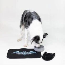 Warner Bros™ DC Batman Silicone Bowl 580ml, Diameter 14cm -Zooplus Store 1 124 1