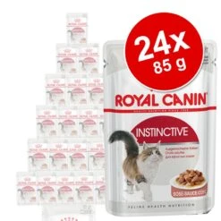 Royal Canin Wet Cat Food Saver Pack 24 X 85g Instinctive In Gravy