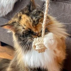 Puss Casimir Monkey Fist 1 Piece -Zooplus Store 240697 kater kasimir affenfaust hs 05 4