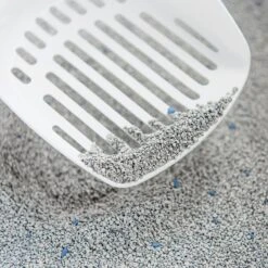 Intersand Classic Pine Forest Scented Cat Litter 14kg 2 Intersand Classic Pine Forest Scented Cat Litter 14kg -Zooplus Store 248818 intersand classic katzenstreu pinienwald hs 03 8