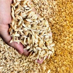 Aumüller Valerian Cat Play Pillow Little Sheep Sally 1 Piece 6 Aumüller Valerian Cat Play Pillow Little Sheep Sally 1 Piece -Zooplus Store 266099 aumueller baldrian katzenspielkissen koala jack hs 14 0