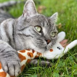 Aumüller Cat Play Pillow Giraffe Gina 1 Piece -Zooplus Store 266100 aumueller katzenspielkissen giraffe gina hs 04 1