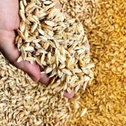 Aumüller Cat Play Pillow Giraffe Gina 1 Piece -Zooplus Store 266100 aumueller katzenspielkissen giraffe gina hs 11 8