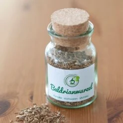 Aumüller Cat Play Pillow Giraffe Gina 1 Piece -Zooplus Store 266100 aumueller katzenspielkissen giraffe gina hs 12 4