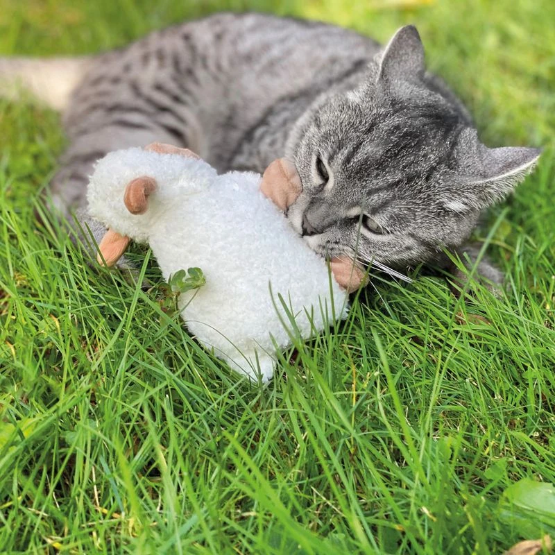 Aumüller Valerian Cat Play Pillow Little Sheep Sally 1 piece Aumüller Valerian Cat Play Pillow Little Sheep Sally 1 Piece -Zooplus Store 266296 aum ller baldrian katzenspielkissen sch fchen sally 03 4