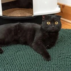 Kooa Dirt-Trapping Mat Dark Green 9 Kooa Dirt-Trapping Mat Dark Green -Zooplus Store 315296 kooa chenille litter mat fg 6045 8