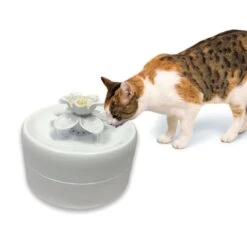 Pioneer Pet Magnolia Drinking Fountain Accessoires: Fleece Carbon Filter (3 Pieces) 2 Pioneer Pet Magnolia Drinking Fountain Accessoires: Fleece Carbon Filter (3 Pieces) -Zooplus Store 331398 331297 331298 schulze magnolia trinkbrunnen hs 03 2