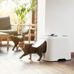 Rotho MyPet BIALA Cat Litter Tray Set: Litter Scoop With Holder + 4 Bag Rolls -Zooplus Store 334598 mypet katzentoilette biala weiss hs 13 1