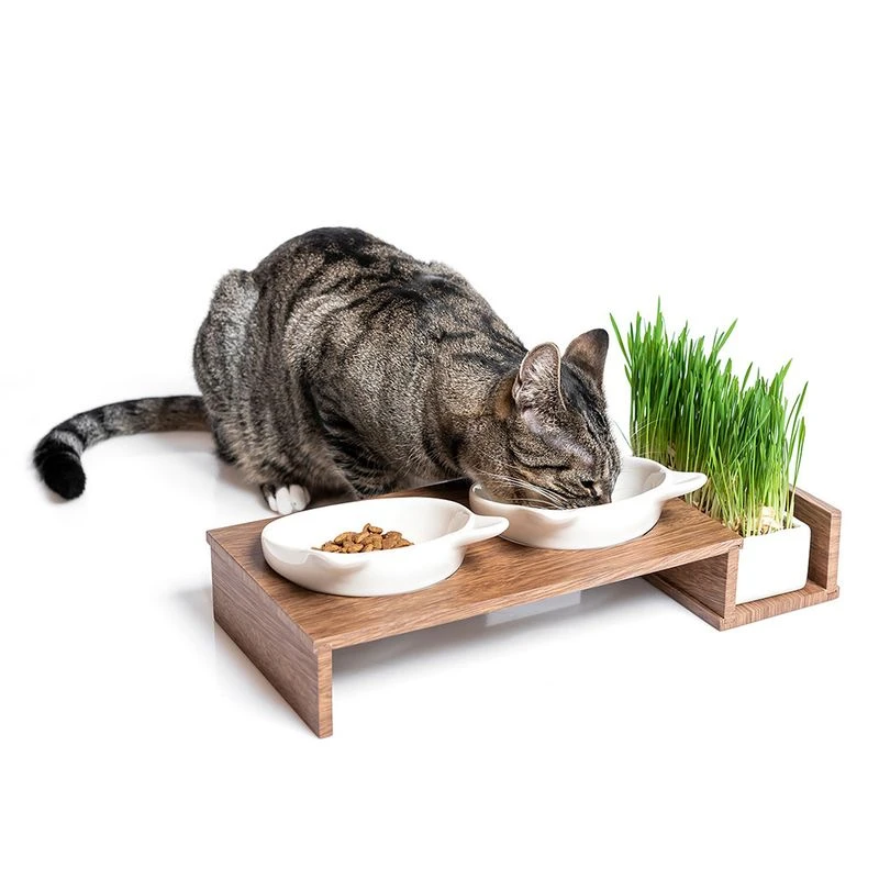 CanadianCat Company Food Bar Cat Diner Wood: 2 x 250ml, 15cm (diameter) CanadianCat Company Food Bar Cat Diner Wood: 2 X 250ml, 15cm (diameter) -Zooplus Store 346596 canadiancat company futterbar catdiner hs 05 1
