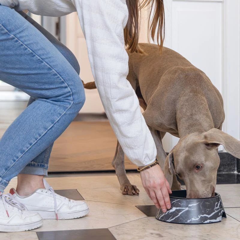 Designed by Lotte Marble Melamine Feeding Bowl - Black Saver Pack: 2 x 700ml, diameter 22cm Designed By Lotte Marble Melamine Feeding Bowl - Black Saver Pack: 2 X 700ml, Diameter 22cm -Zooplus Store 3524526 dbl melamine katzennapf 700ml 22xh7cm chwarz 1000x1000 hs 03 1 2