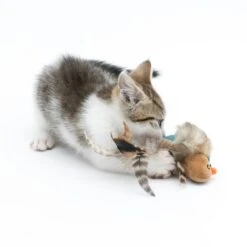 TIAKI Electronic Cat Toy Pipo 1 Toy -Zooplus Store 357700 cat fg 0531 1