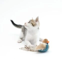 TIAKI Electronic Cat Toy Pipo 1 Toy -Zooplus Store 357700 cat fg 0543 4