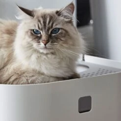 Modko ModKat Cat Litter Box 3 X Replacement Removable Inserts -Zooplus Store 35895 modkat katzentoilette wei hs 03 1