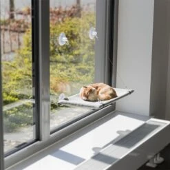 Trixie Window Lounger 50 X30cm (L X W) -Zooplus Store 403721 trixie fenster liegeplatz hs 09 3
