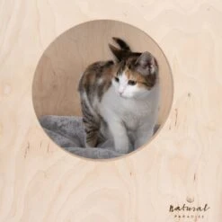 Natural Paradise Mimosa Cat Den Natural Wood With Cream Cover 9 Natural Paradise Mimosa Cat Den Natural Wood With Cream Cover -Zooplus Store 415396 np mimosa grau fg 5256 5 1