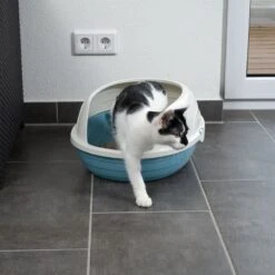 TIAKI Cobby Rounded Cat Litter Tray White / Blue -Zooplus Store 419399 tiaki schalentoilette cobby cat fg 3549 6