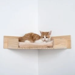 Modern Living Serra Wall Mounted Bed Natural / Beige 2 Modern Living Serra Wall Mounted Bed Natural / Beige -Zooplus Store 428201 modern living wall bed serra fg 5370 6