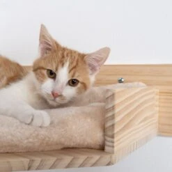 Modern Living Serra Wall Mounted Bed Natural / Beige 6 Modern Living Serra Wall Mounted Bed Natural / Beige -Zooplus Store 428201 modern living wall bed serra fg 5371 6