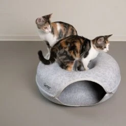 Modern Living Chicago Doughnut Tunnel 51 X 12.5 Cm (diameter X H) -Zooplus Store 467696 cat fg 1461 9