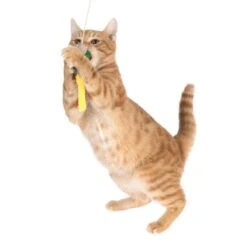 TIAKI Dragonfly Cat Dangler Toy With LED Pointer 1 Dangler Toy -Zooplus Store 501648 tiaki led cat teaser dragonfly cat fg 1108 9