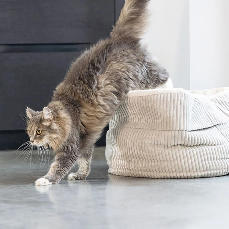 Designed by Lotte Ribbed Cat Basket Light Grey Designed By Lotte Ribbed Cat Basket Light Grey -Zooplus Store 501679 dbl katzenkorb ribbed hellgrau hs 16 0