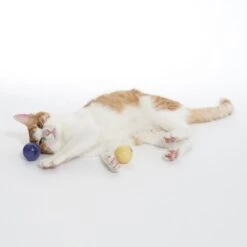 TIAKI LED Balls For Cats Set Of 2 -Zooplus Store 501941 cat fg 1698 4