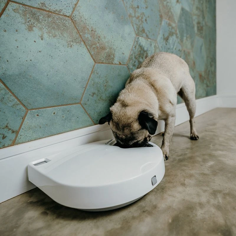 Cat Mate C500 Automatic Feeder 5-Meal Feeder Cat Mate C500 Automatic Feeder 5-Meal Feeder -Zooplus Store 504596 cat mate futterautomat c500 hs 10 7