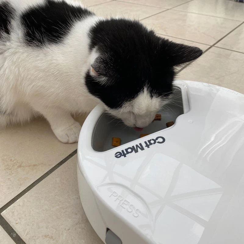 Cat Mate C300 Automatic Feeder 3-Meal Feeder Cat Mate C300 Automatic Feeder 3-Meal Feeder -Zooplus Store 504597 cat mate futterautomat c300 hs 06 4