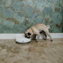 Cat Mate C300 Automatic Feeder 3-Meal Feeder 6 Cat Mate C300 Automatic Feeder 3-Meal Feeder -Zooplus Store 504597 cat mate futterautomat c300 hs 07 2