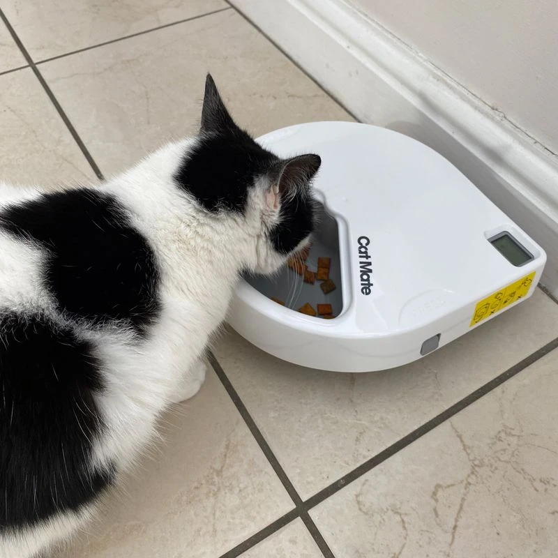 Cat Mate C300 Automatic Feeder 3-Meal Feeder Cat Mate C300 Automatic Feeder 3-Meal Feeder -Zooplus Store 504597 cat mate futterautomat c300 hs 08 5