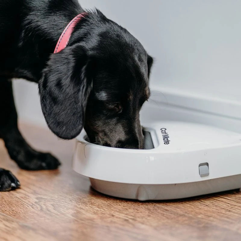 Cat Mate C300 Automatic Feeder 3-Meal Feeder Cat Mate C300 Automatic Feeder 3-Meal Feeder -Zooplus Store 504597 cat mate futterautomat c300 hs 09 8