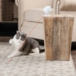 PetSafe® Dancing Dot Laser Cat Toy 1 Toy -Zooplus Store 504711 dancing dot laset hs 07 7