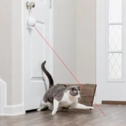 PetSafe® Dancing Dot Laser Cat Toy 1 Toy -Zooplus Store 504711 dancing dot laset hs 08 0