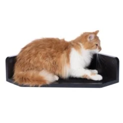 Modern Living Corner Bed San Francisco White 10 Modern Living Corner Bed San Francisco White -Zooplus Store 509899 san francisco corner bed black cat 3993 7