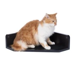 Modern Living Corner Bed San Francisco White 15 Modern Living Corner Bed San Francisco White -Zooplus Store 509899 san francisco corner bed black cat 3995 7