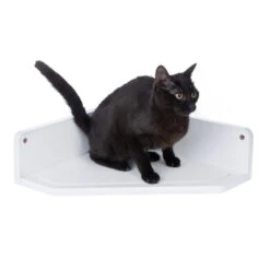 Modern Living Corner Bed San Francisco White 16 Modern Living Corner Bed San Francisco White -Zooplus Store 509996 san francisco corner bed white cat fg 3975 5