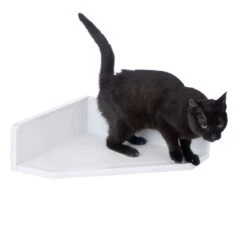 Modern Living Corner Bed San Francisco White 11 Modern Living Corner Bed San Francisco White -Zooplus Store 509996 san francisco corner bed white cat fg 3988 4