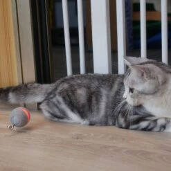 Cheerble Wicked Ball Electronic Cat Toy – Grey 1 Toy -Zooplus Store 513653 cheerble ball hs 10 9