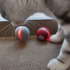 Cheerble Wicked Ball Electronic Cat Toy – Grey 1 Toy -Zooplus Store 513653 cheerble ball hs 16 1