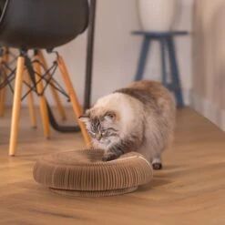 Beeztees Scratching Toy Siep 38 X 10cm (W X H) -Zooplus Store 516197 beeztees kratzspielzeug siep 38x10cm braun 1000x1000 hs 05 1