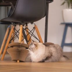 Beeztees Scratching Toy Siep 38 X 10cm (W X H) -Zooplus Store 516197 beeztees kratzspielzeug siep 38x10cm braun 1000x1000 hs 06 6