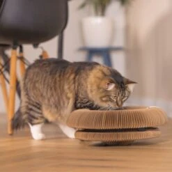 Beeztees Scratching Toy Siep 38 X 10cm (W X H) -Zooplus Store 516197 beeztees kratzspielzeug siep 38x10cm braun 1000x1000 hs 08 3