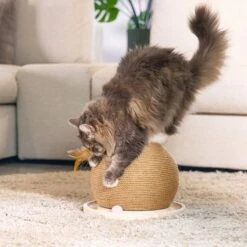 Designed By Lotte Wooden Scratching Ball With Ball Track 29.5 X 22cm (W X H) -Zooplus Store 518103 designed by lotte holz mit spielball hs 03 3