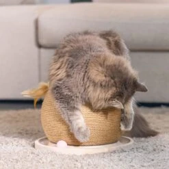 Designed By Lotte Wooden Scratching Ball With Ball Track 29.5 X 22cm (W X H) -Zooplus Store 518103 designed by lotte holz mit spielball hs 04 0