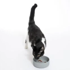 Warner Bros™ DC Batman Silicone Bowl 580ml, Diameter 14cm -Zooplus Store 562413 cat fg 1753 4