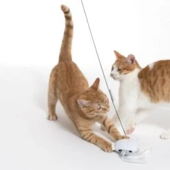 Warner Bros Harry Potter Hedwig Cat Dangler Toy 1 Dangler Toy -Zooplus Store 567841 cat fg 1530 4